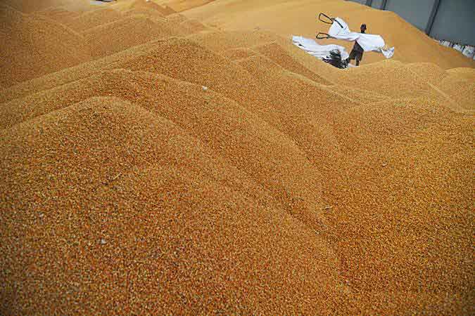  NEGOSIASI LANJUTAN AS-CHINA: Pembelian Produk Jagung Jadi Bahasan