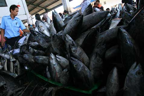  KKP Siapkan Rp53 Miliar untuk Bantuan Benih Ikan