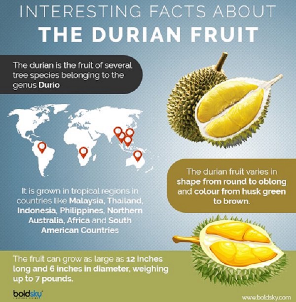  Ini 9 Manfaat Durian, Salah Satunya Turunkan Risiko Depresi