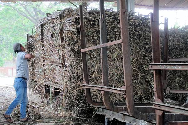 Batang tebu memenuhi Pabrik Gula (PG) Mojo di Sragen, Jawa Tengah, milik PT Perkebunan Nusantara IX (Persero), Selasa (18/7). Pascarevitalisasi yang dimulai pada April lalu, PG Mojo menargetkan kapasitas giling hingga 4.000 ton cane per day (TCD) dari sebelumnya hanya 2.750 TCD./JIBI-Pamuji Tri Nastiti