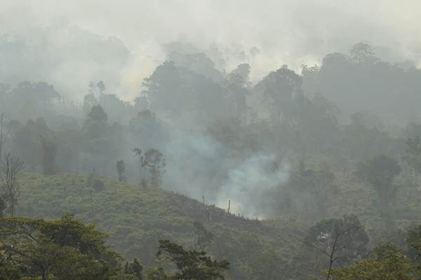  Lahan Terbakar di Riau Lebih 919,41 Hektare
