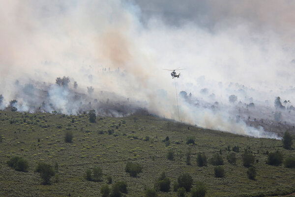  Kebakaran Hutan di Riau 1.136 Ha, Naik 150 Ha dalam 48 Jam