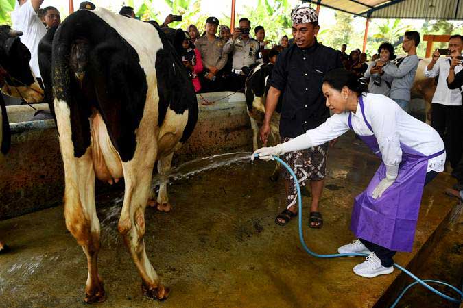  PETERNAKAN NASIONAL : Membangun Industrialisasi Peternakan yang Tangguh