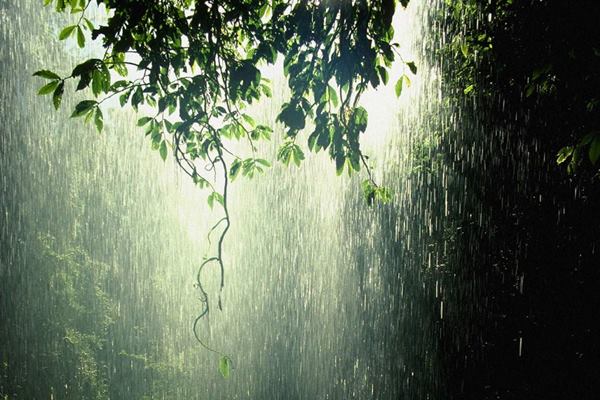  Cuaca Indonesia 27 Februari, Siang dan Malam Hujan di Yogyakarta