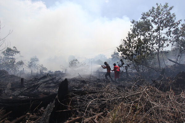  Polda Riau Tahan 6 Tersangka Pembakar Lahan