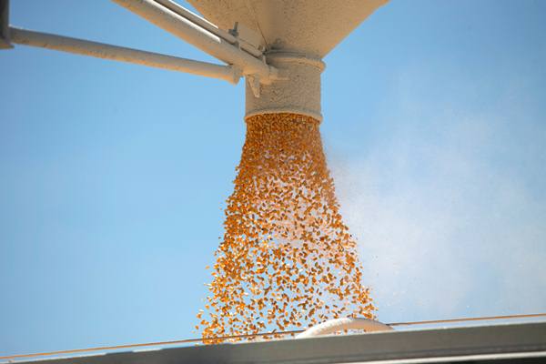 Jagung dimasukkan ke truk saat silo kosong di sebuah peternakan di Tiskilwa, Illinois, AS, 6 Juli 2018./Reuters
