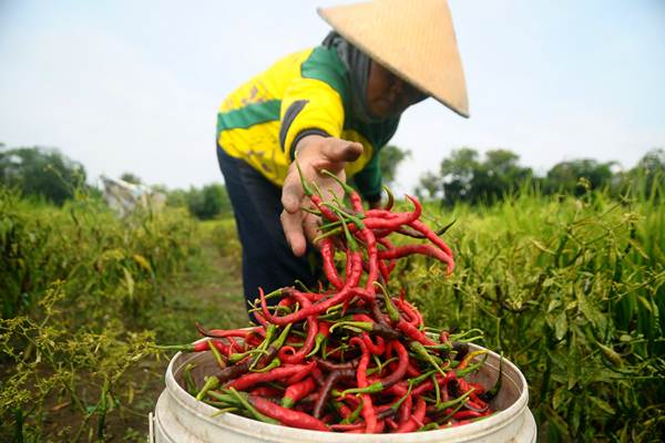  Gotong Royong Merintis Revolusi Hijau