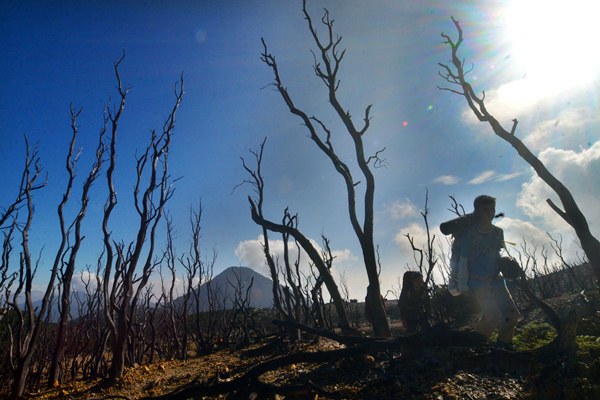  Status Cagar Alam Gunung Papandayan Dicabut, KLHK Diprotes