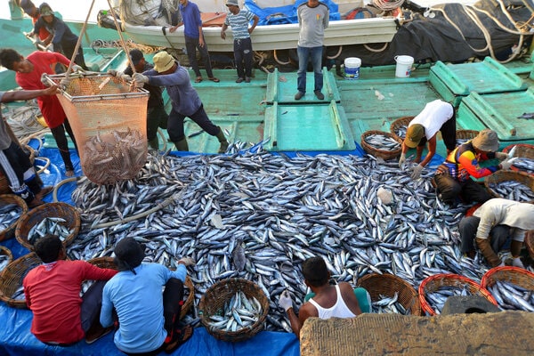  Sebulan Setelah 23 Nelayan Aceh Ditangkap Myanmar, KBRI Tak Bisa Bertemu