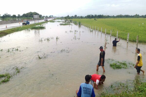 Sisi Lain Banjir Madiun, Warga Jaring Ikan di Samping Tol