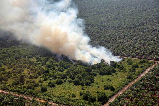  Kebakaran Hutan di  Riau Capai 1.686,41 Hektare, Paling Luas di Bengkalis