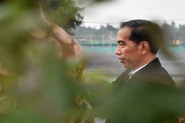  Presiden Jokowi Kunker ke Riau, Ini Agendanya