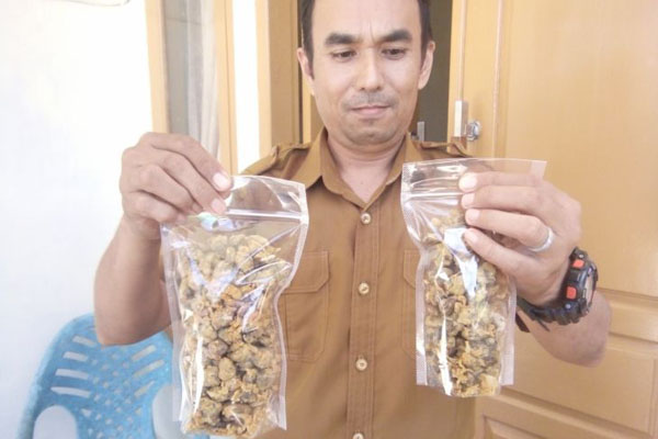  Warga Aceh Singkil Kembangkan Lokan Crispy