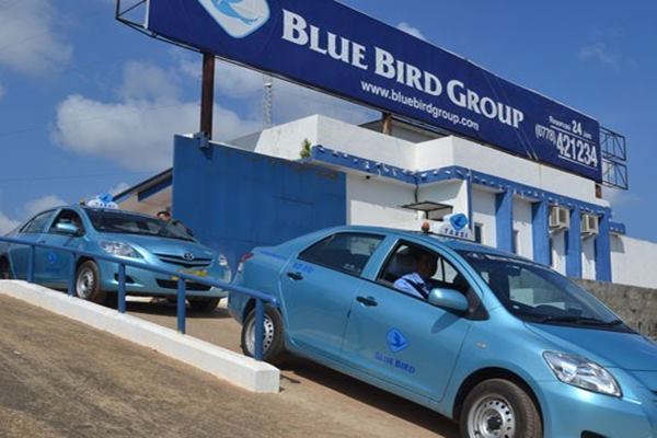  Blue Bird (BIRD) Incar Layanan Taksi di Bandara Baru