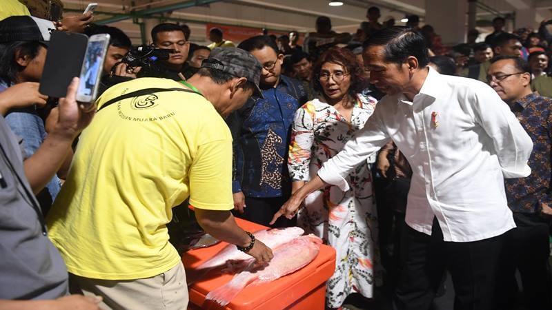  Jokowi Borong Kakap Merah 6 Kg Seharga Rp500 Ribu di Pasar Ikan Modern Muara Baru