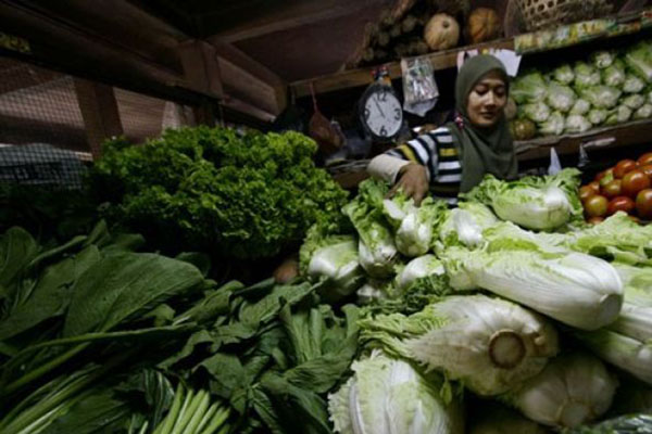  Harga Sayuran di Kabupaten Lebak Naik Sepekan Terakhir