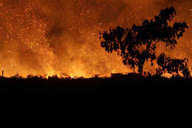  Kerugian Akibat Kebakaran di Simeulue Sampai Rp15,2 miliar