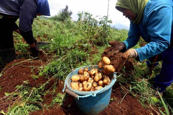  Kementan Gandeng Milenial Masuk Industri Pertanian 4.0