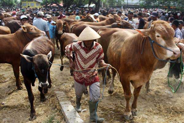  Santri di Sulsel Didorong Beternak