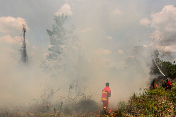  BRG Kucurkan Rp1,3 Miliar Tanggulangi Kebakaran Hutan Riau