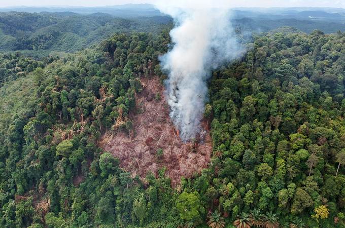  Pembakaran Lahan Baru Masih Marak Dilakukan