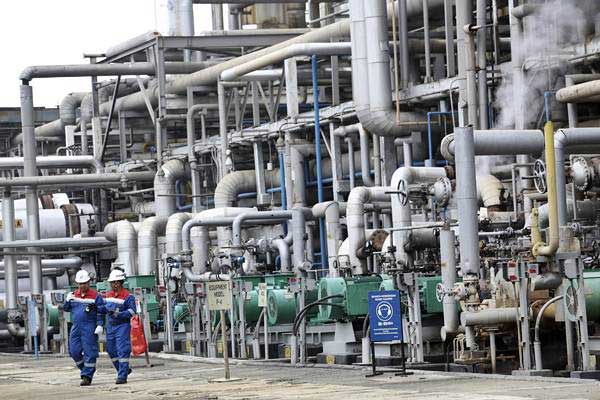  Konsumsi LPG untuk Industri Naik 10% pada Kuartal I/2019