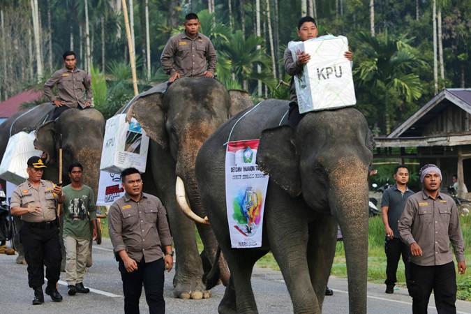  Gajah Sumatra Ikut Ramaikan Pemilu 2019 di Aceh