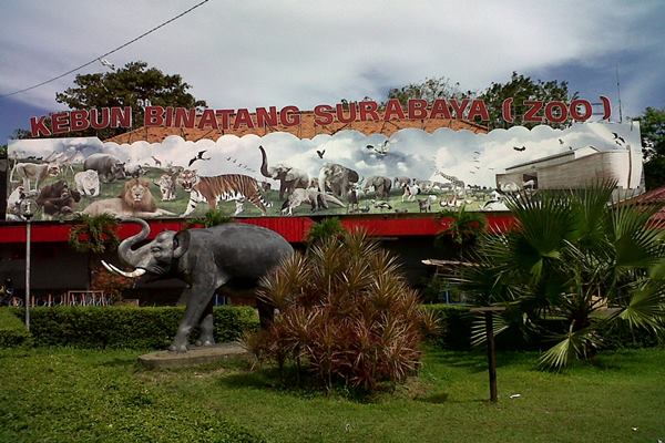 Kebun Binatang Surabaya/Istimewa