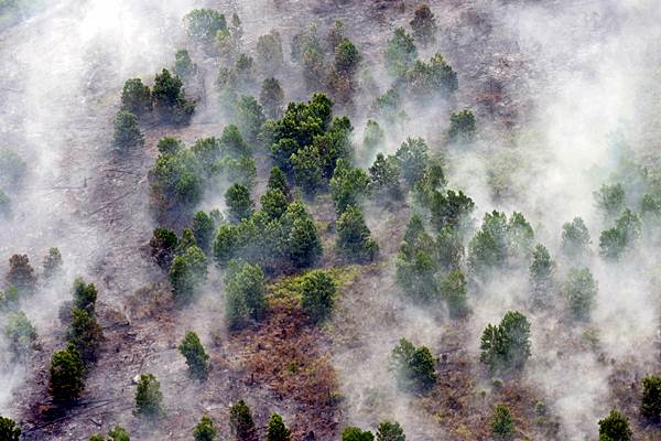  Kebakaran Lahan di Riau Mendekati 3.000 Hektare