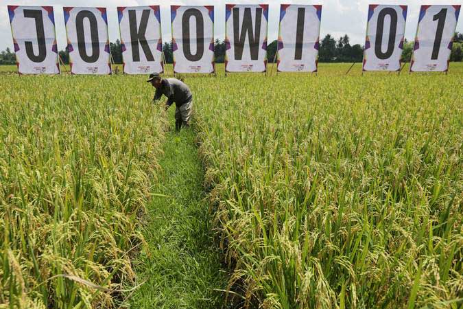  SEKTOR PERTANIAN : Lahan Pertanian Susut