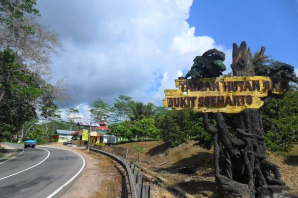  Jokowi Tinjau Bukit Soeharto, Calon Lokasi Ibu Kota Indonesia