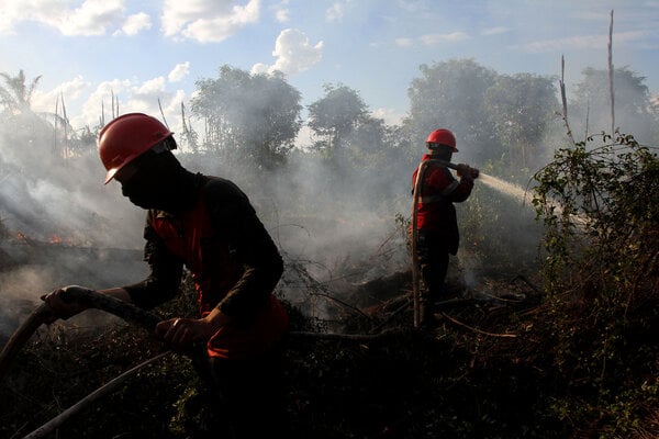  Kebakaran Hutan di Riau Mencapai 2.932 Hektare