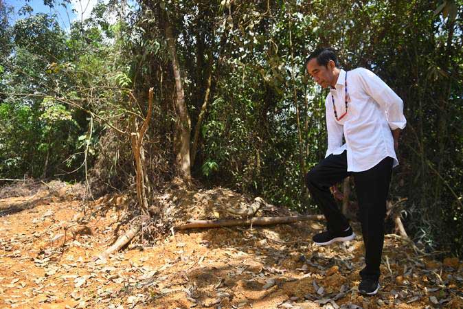  Kunjungi \'Kawasan Segitiga\', Presiden Jokowi Dapat Lahan Luas untuk Calon Ibu Kota Baru