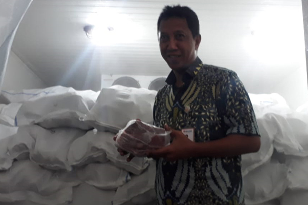  Bulog Sumsel Babel Siap Salurkan 215 Ton Daging Kerbau Beku