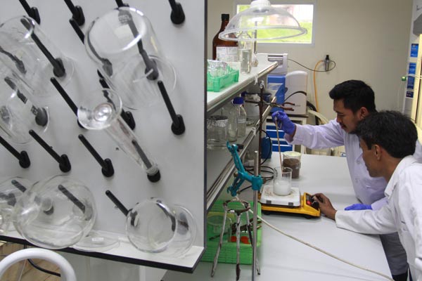  LIPI Berhasil Kembangkan Biooil dan Bioplastik dari Tandan Sawit