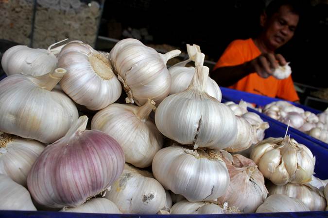  Stok Lama Menumpuk, Harga Bawang Putih Masih Mahal