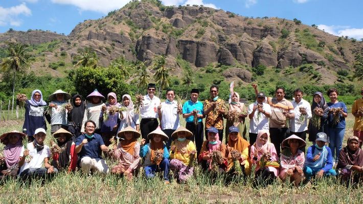  Demplot Pupuk Indonesia Grup Dorong Produktivitas Tanaman Pangan
