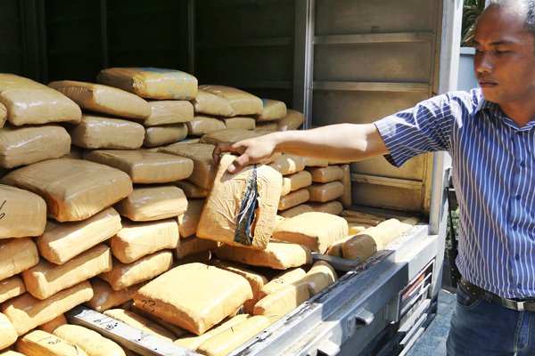  300 Kg Ganja Disembunyikan di antara Karung Limbah Medis B3