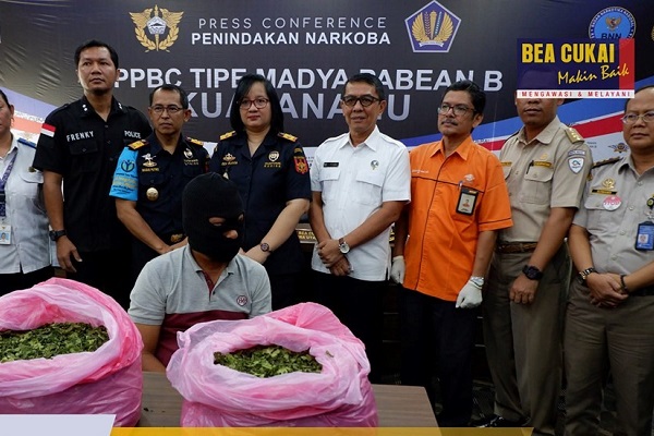  Bersinergi dengan dan Ditres Narkoba Polda Sumatera Utara Bea Cukai Gagalkan Penyelundupan 16kg Daun Khat
