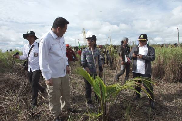  BRG Siapkan Paket Bantuan Revitalisasi Ekonomi Mappi & Merauke