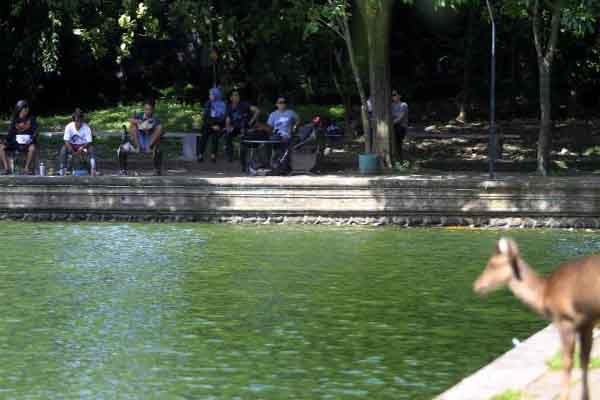  PARIWISATA KALIMANTAN TIMUR : REI Perkuat Daya Tarik Tepian Mahakam 