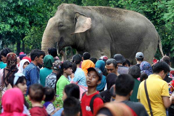  JELAJAH LEBARAN JAWA–BALI 2019: Pengelola Tempat Wisata Perlu Waspada Peningkatan Pengunjung