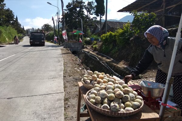  Buah Kesemek Jadi Alternatif Buah Tangan dari Boyolali