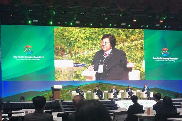Menteri LHK Paparkan Kebijakan Moratorium dan Alokasi Hutan untuk Rakyat di Asia Pacific Forestry Week