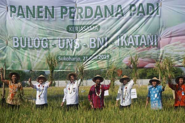  Bulog Kerjasama On Farm dengan UNS di Eks Karesidenan Surakarta