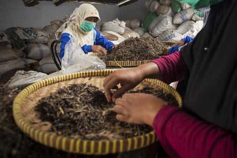  Upaya Mendorong Industri Jamu di Indonesia