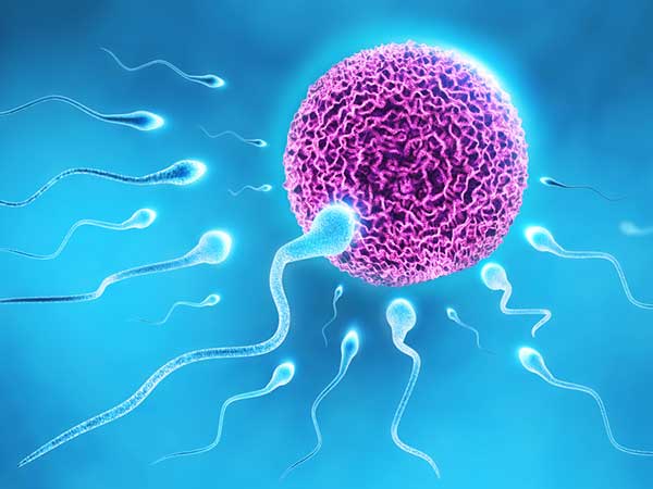  Gunakan Sperma Sendiri untuk Inseminasi, Izin Praktik Dokter Dicabut