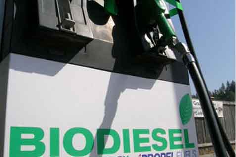  Pengembangan Green Biofuel Bisa Tambah Bauran EBT Sebesar 2 Persen