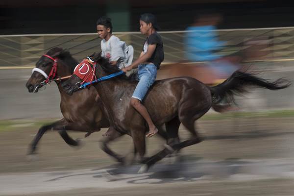 Dua remaja melatih kudanya berkenaan dengan kegiatan Parade 1001 Kuda dan Festival Tenun Ikat./Antara-Nyoman Budhiana