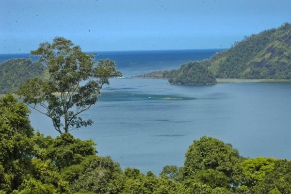  Kejagung Kembali Didesak Minta Pelimpahan Kasus Perusakan Lahan di Mandeh Sumbar